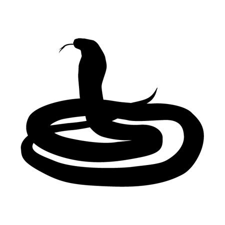 Python Snake Iron on Transfer